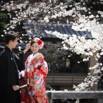 京都日和|桜|ロケ|和装|前撮り|2017_002