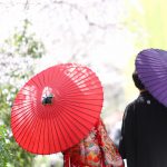 京都日和|桜|ロケ|和装|前撮り|2017_004