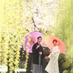 京都日和|桜|ロケ|和装|前撮り|2017_007