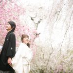 京都日和|桜|ロケ|和装|前撮り|2017_017