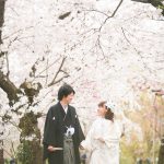 京都日和|桜|ロケ|和装|前撮り|2017_018