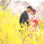 京都日和|桜|ロケ|和装|前撮り|2017_024