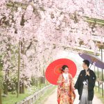 京都日和|桜|ロケ|和装|前撮り|2017_033