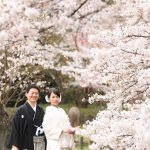 京都日和|桜|ロケ|和装|前撮り|2017_037