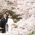 京都日和|桜|ロケ|和装|前撮り|2017_038