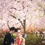 京都日和|桜|ロケ|和装|前撮り|2017_039