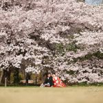 京都日和|桜|ロケ|和装|前撮り|2017_045
